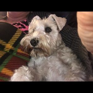 Meet your Posher, Joy